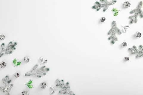 Evergreen tree branch with snow and pine cones Stock Photos