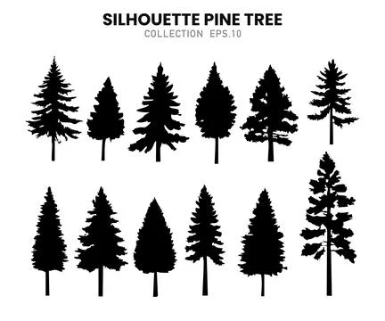 Evergreen Tree Silhouette Pack.vector illustration Stock Illustration