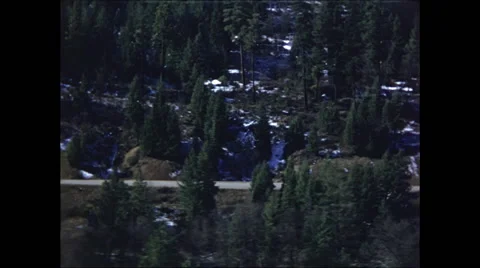 Evergreens Along Mountain Road Video stock 47642882