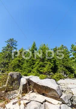 Evergreens over boulders under blue sky Stock Photos