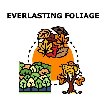 Everlasting foliage concept for autumn leaf cycle seasonal design Stock Illustration
