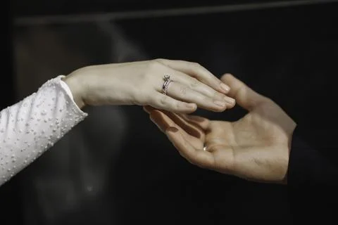 Everlasting Touch Stock Photos