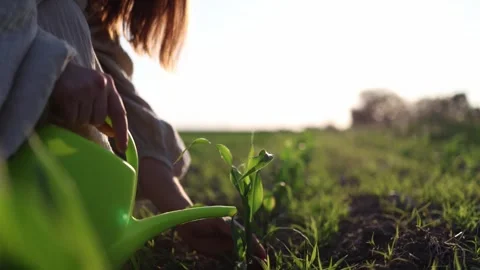 Every drop matters Stock-Footage 338384229