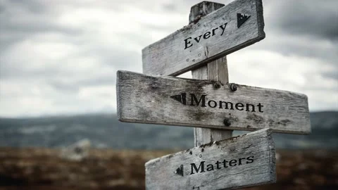 Every moment matters text quote on wooden signpost outdoors in nature. Moody  Stock Footage 170629526