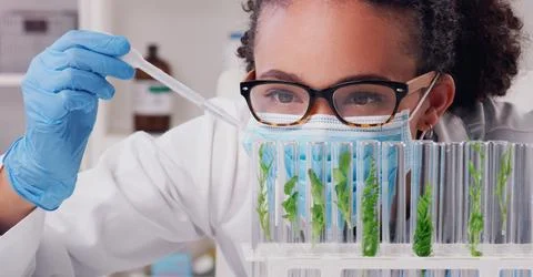 Every study is lead by curiosity. a young scientist working with plant samples 写真素材