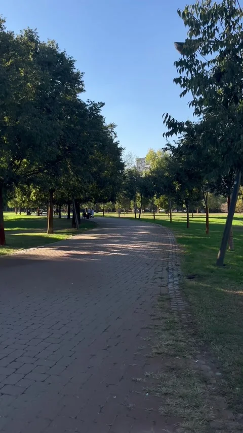 Everyday Scene in Limanski Park in Novi Sad, Serbia Stock Footage 346749558