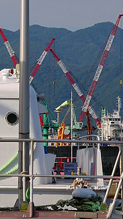 Everyday scenery of Setouchi harbor seen from the pier,Vertical Vidéo 342496805