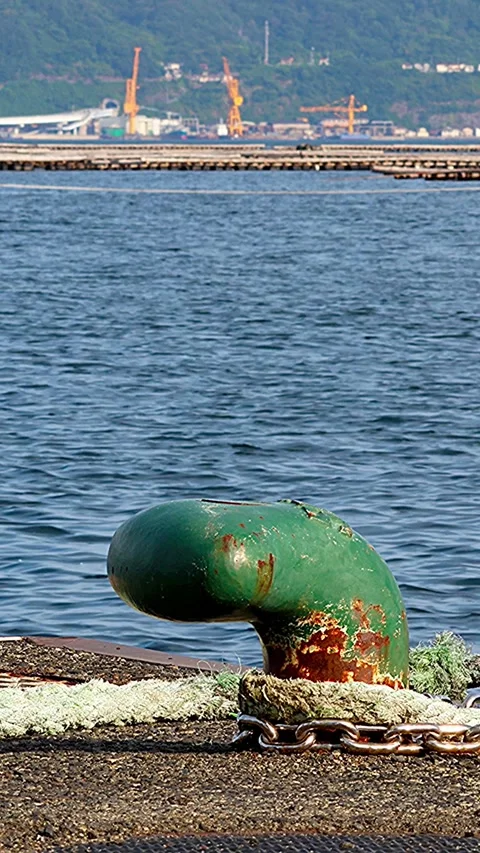 Everyday Setouchi harbor scenery with bollard and oyster rafts,Vertical Video stock 342496946