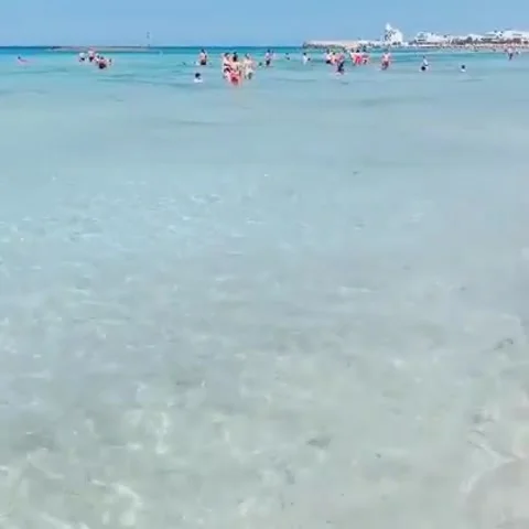Everyone to the sea Stock Footage 151320089