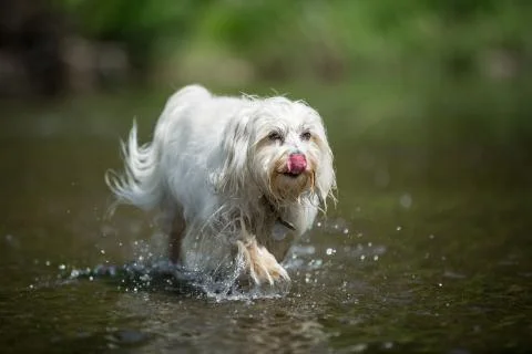 Everything good in the water Stock Photos