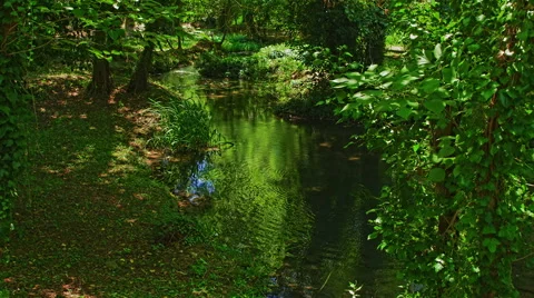 Everything is green Stock Footage 46061144