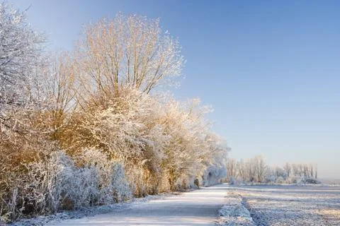 Everything is white after a very cold night in Germany. Stock Photos