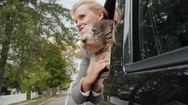 Everywhere With Your Favorite Pet. A Woman With A Dog Looks Out The Window  Stock Footage