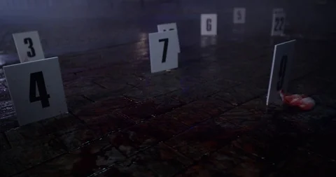 The evidence of the crime scene Stock Footage 113446449
