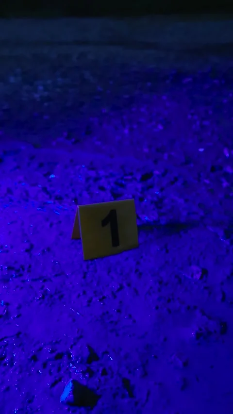 Evidence Marker Number One at Muddy Tire Tracks Crime Scene With Flashing Stock Footage 338993479