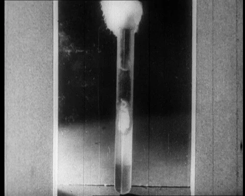 Evidence of US germ warfare, test tubes with samples , China 1952 Stock Footage 143461993