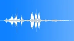 Evil 4Sound Effect