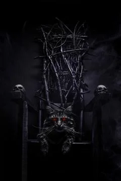 Evil cat on witch throne made of branches. Stock Photos
