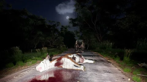 Evil Dog at Night Stock Footage 164925979