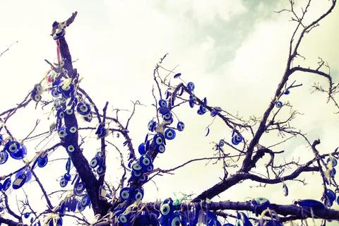 Evil eye bead hanging tree. A tree with many blue beads hanging from it Stock Photos