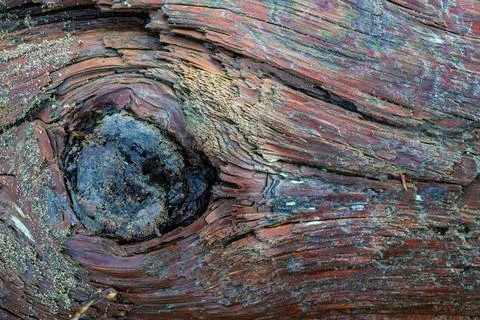 Evil Eye 写真素材