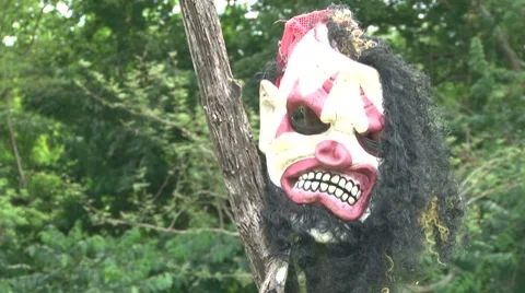 Evil Face with Shallow Depth of Field with Bird Sounds Stock Footage 8521673