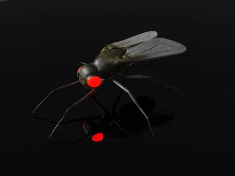 Evil fly. イラスト素材