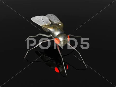 Evil fly. Stock Illustration
