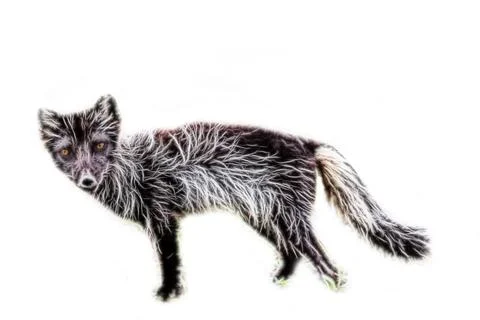 Evil Fox with red eyes, Computer drawing Stock Photos
