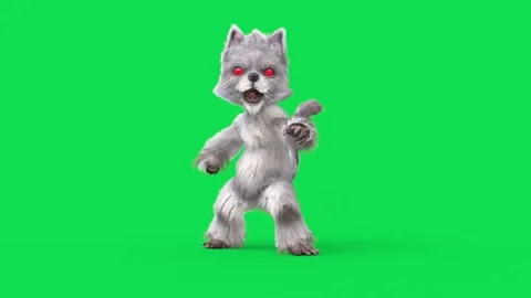 Evil Cat Animation