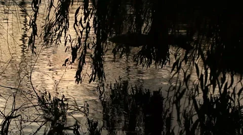 Evil lake surface Stock Footage 33415277