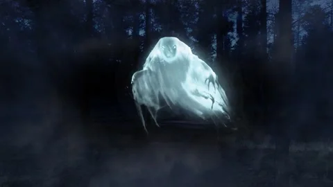 Evil Morphing Ghost in Haunted Forest 4K Loop Stock-Footage 346979915