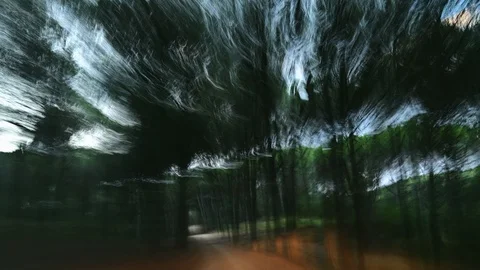 Evil is running in the forest Stock Footage 120090430