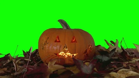 Evil Spooky Pumpkin - Green Screen Stock Footage