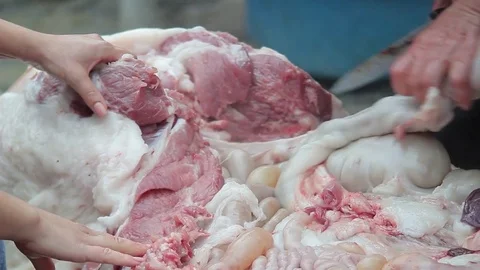 Eviscerated Pig Stockbeeldmateriaal 70554577