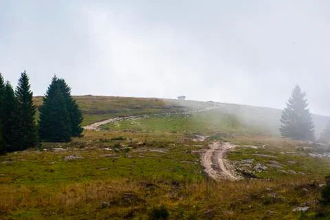 Evocative fog three Stock Photos