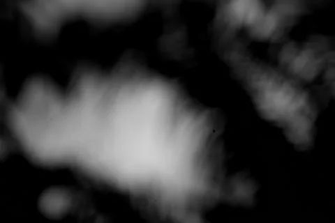 Evocative grayscale abstract image depicting shadows and light interplay, c.. Stock Photos