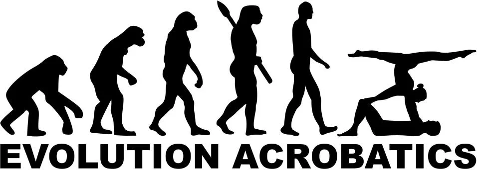 Evolution Acrobatics イラスト素材