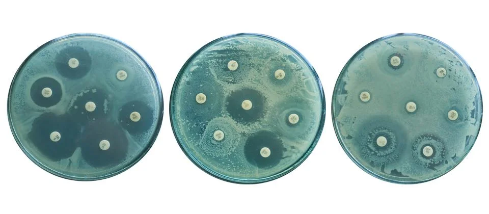 Evolution of Antibiotic resistance using susceptibility tests by diffusion Stock Photos