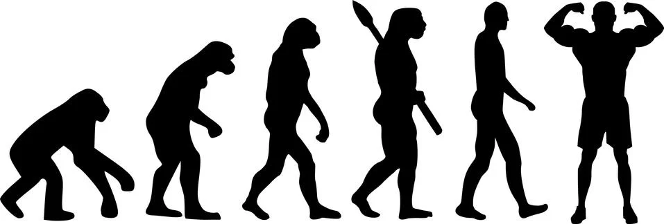 Evolution Body Building イラスト素材