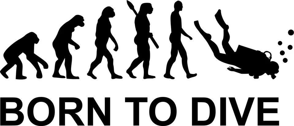 Evolution born to dive イラスト素材
