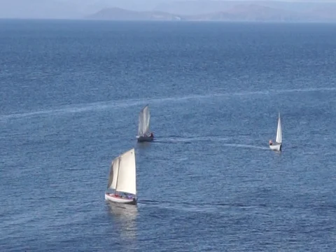 The evolution of bots Vídeo Stock 80946536