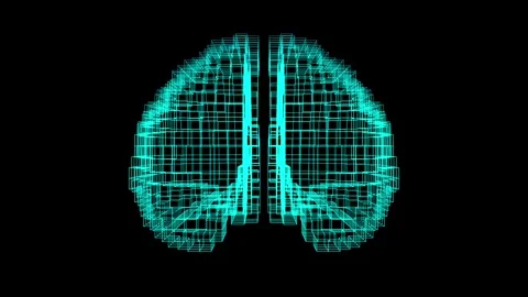 Evolution of the brain from an artificial intelligence circuit into an organi Stock Footage 250904695