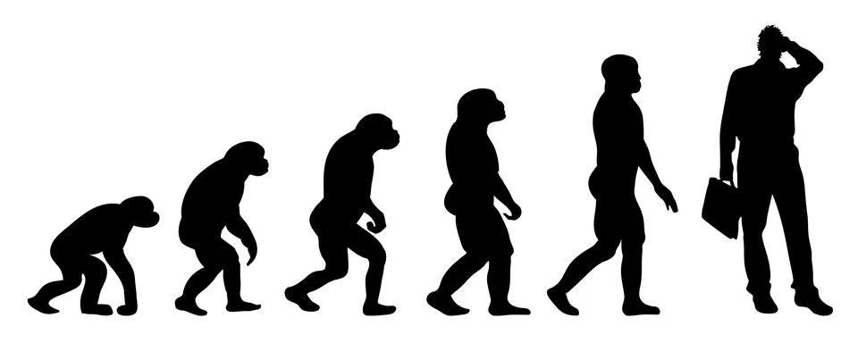 Evolution business 스톡 일러스트