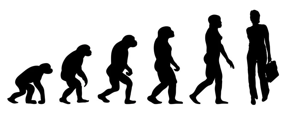Evolution business Illustrazione stock