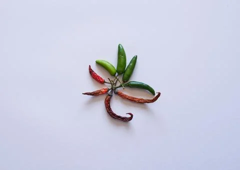 The evolution of a chili from fresh to dried. Top view flat lay Stock Photos