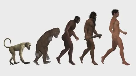 Evolution, the classic scheme, animation, white background Stock Footage
