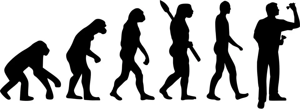 Evolution Darts イラスト素材