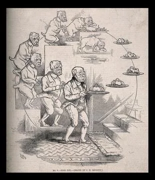 The evolution of a dog and bone into a butler bearing a silver serving-dish.. Stock Illustration
