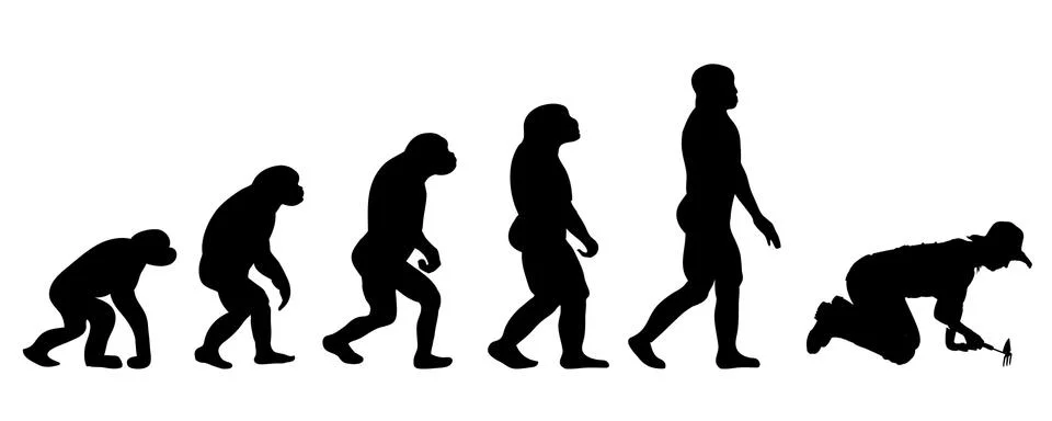 Evolution gardener 库存插图